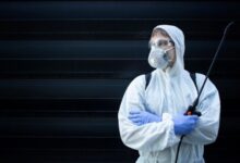 Wie ein Ratten Kammerjäger Ihr Zuhause sicher schützt