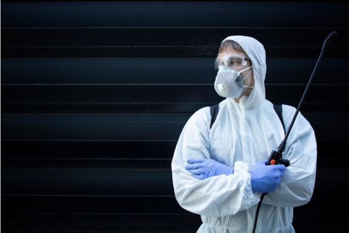 Wie ein Ratten Kammerjäger Ihr Zuhause sicher schützt Wie ein Ratten Kammerjäger Ihr Zuhause sicher schützt